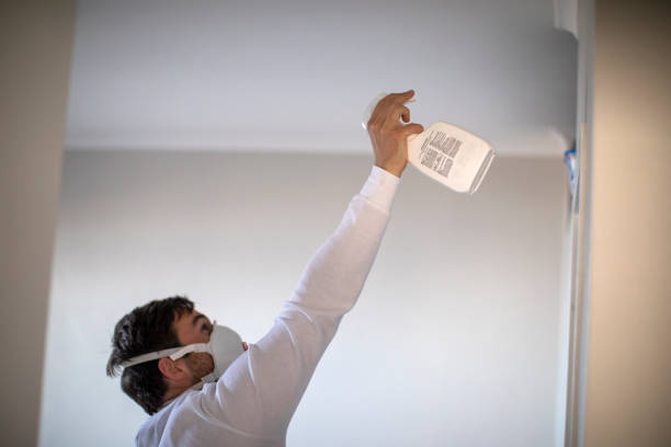Best Insurance-Related Mold Remediation in Shamrock, TX