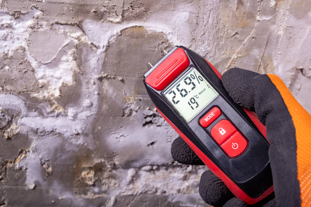 Best Mold Testing and Inspection Services in Shamrock, TX