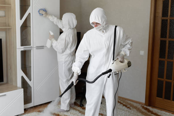 Best Bathroom Mold Remediation in Shamrock, TX