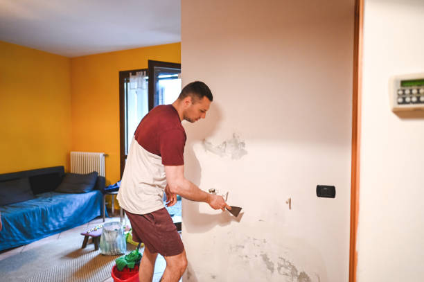Best Health and Safety Mold Remediation in Shamrock, TX